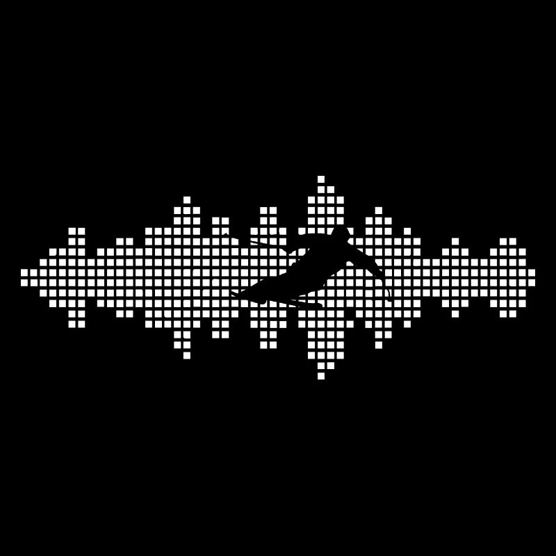 Ondes sonores - Ski - (2)