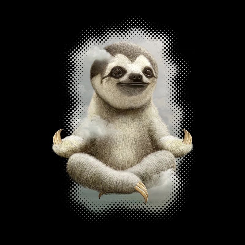 SLOTH MEDITATE FINAL