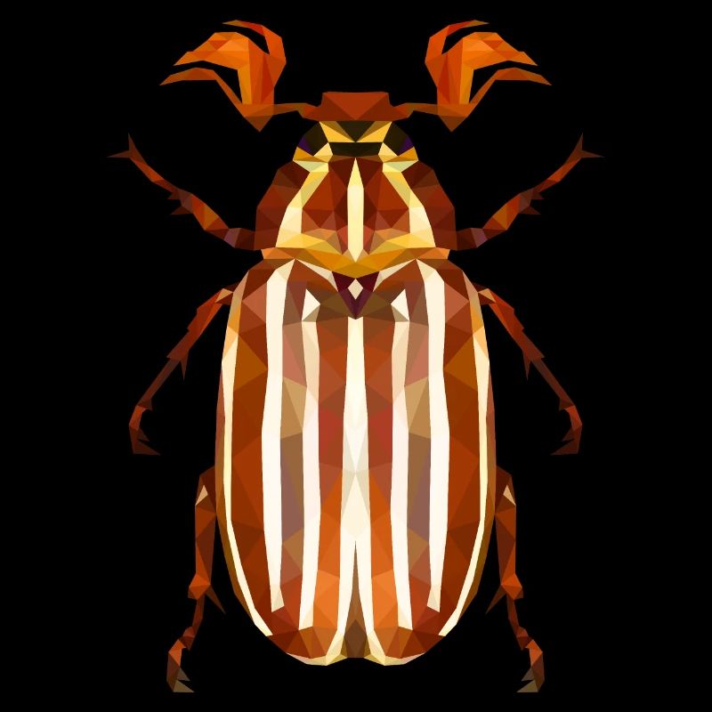 Coléoptère de la pastèque