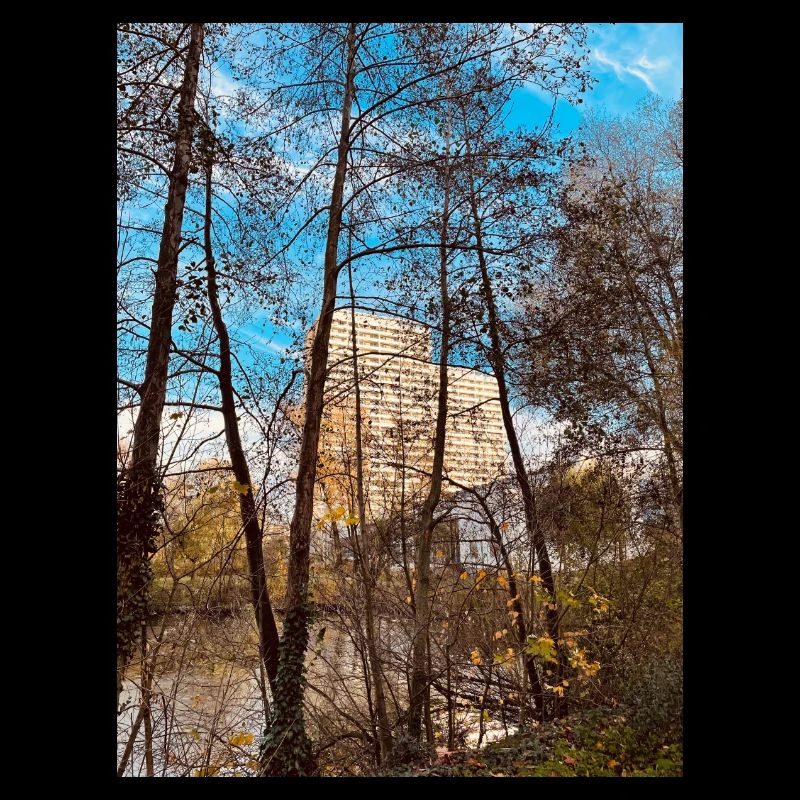 Hochhaus Coole Farbe Bäume