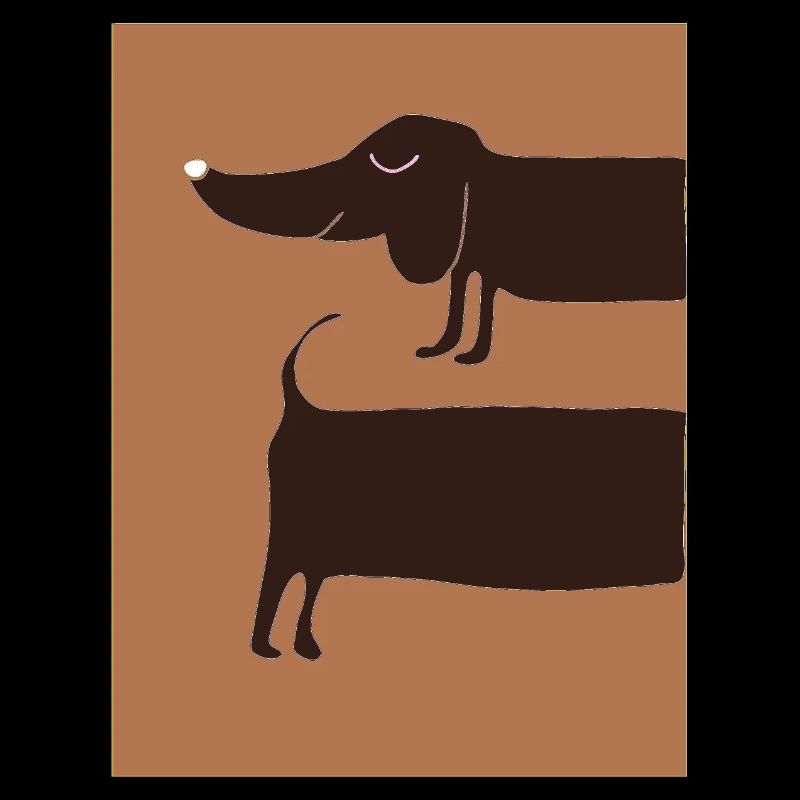 Chien teckel la nuit