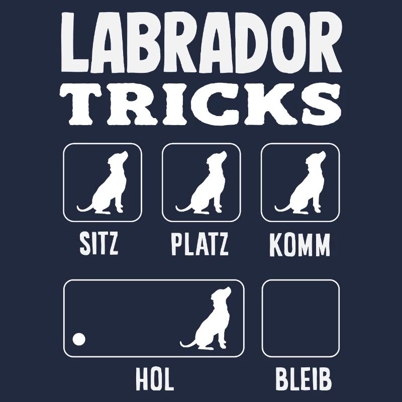 Labrador Tricks