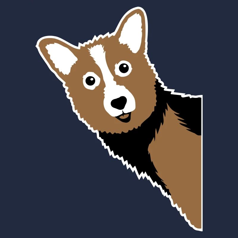 Corgi Cuckoo – Perfect for every dog owner
