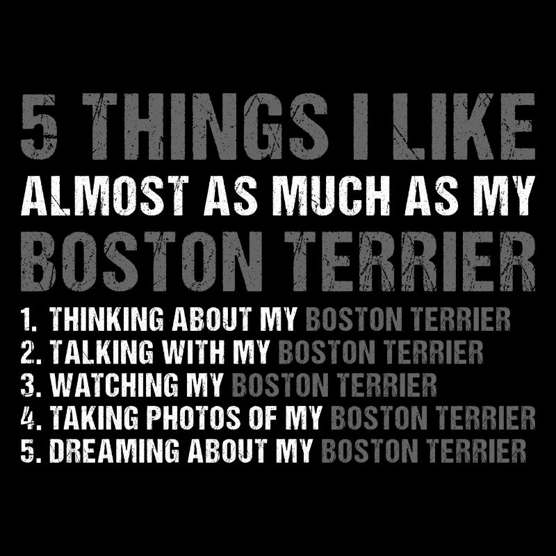 I Like As Much As My Boston Terrier