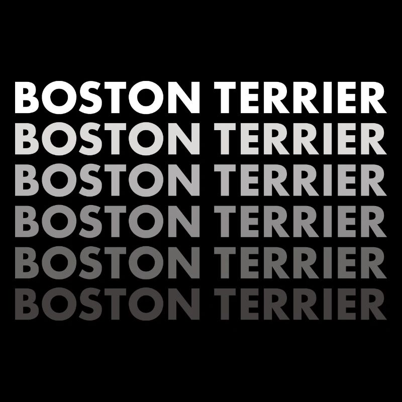 Boston Terrier