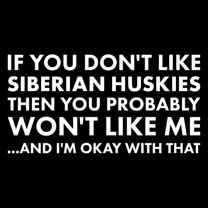 Si vous n’aimez pas le husky sibérien