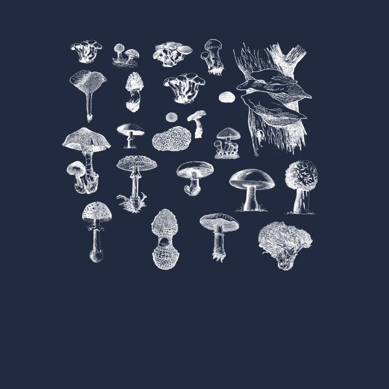 Collection de champignons