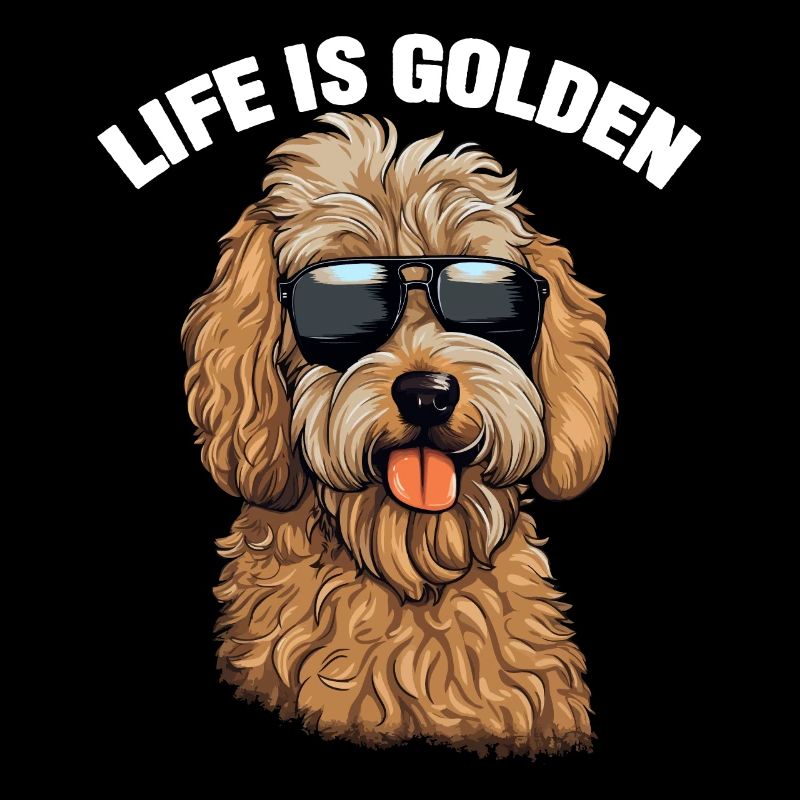 La vie de chien Goldendoodle est dorée