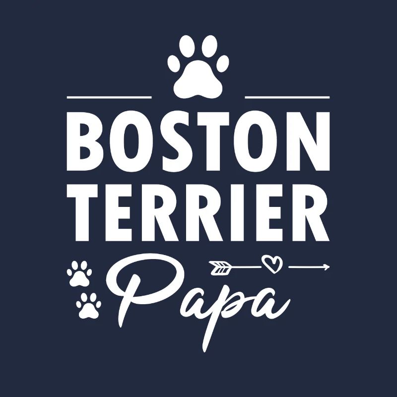 Boston Terrier Papa