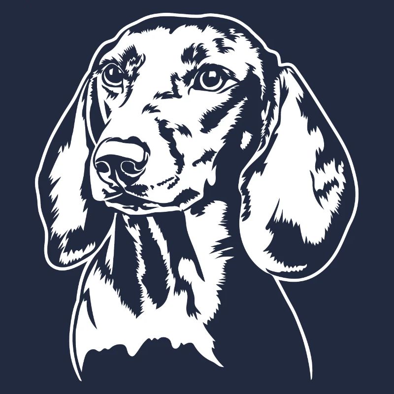 Teckel teckel Chien Portrait Chiens