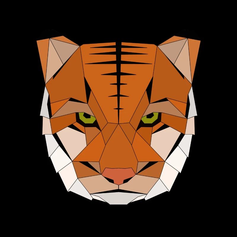 Tiger geometric