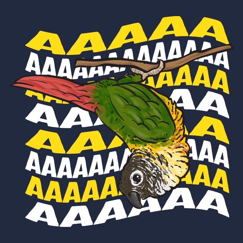 Molina Parakeet Parrot Bird Parakeet