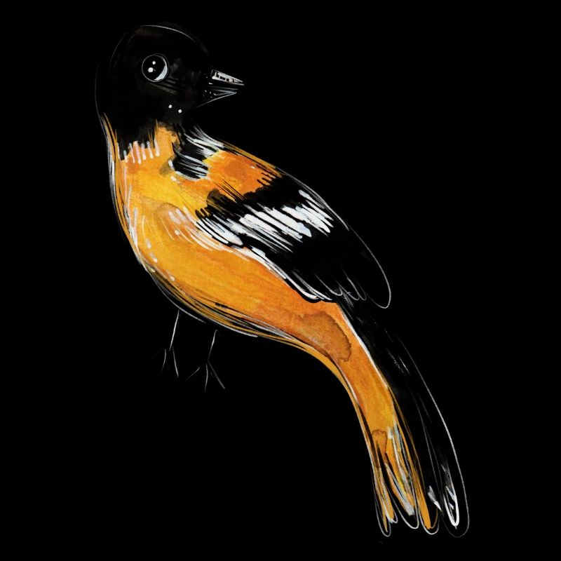 Oriole