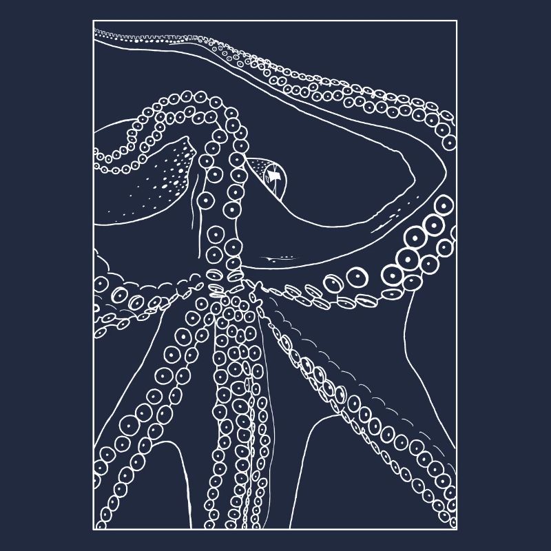 Octopus from below with frame
