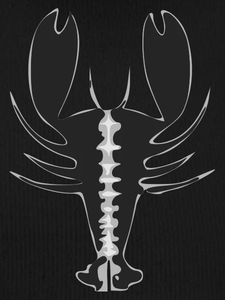 Stylized lobster