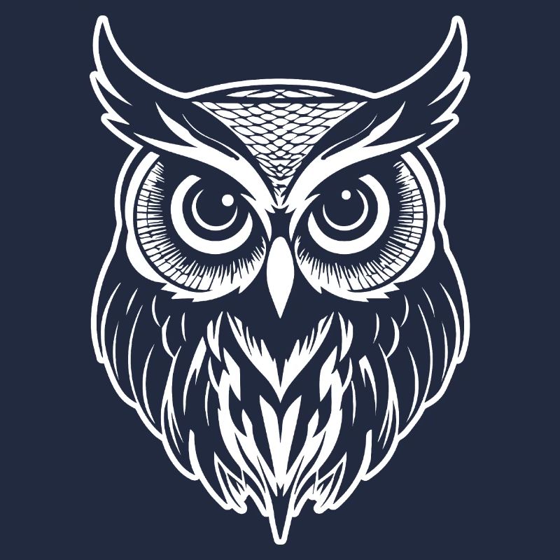 Eule Eulen Vogel Vögel
