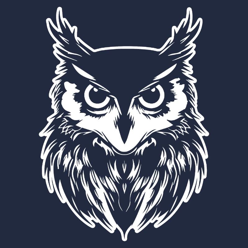 Eule Eulen Vogel Vögel
