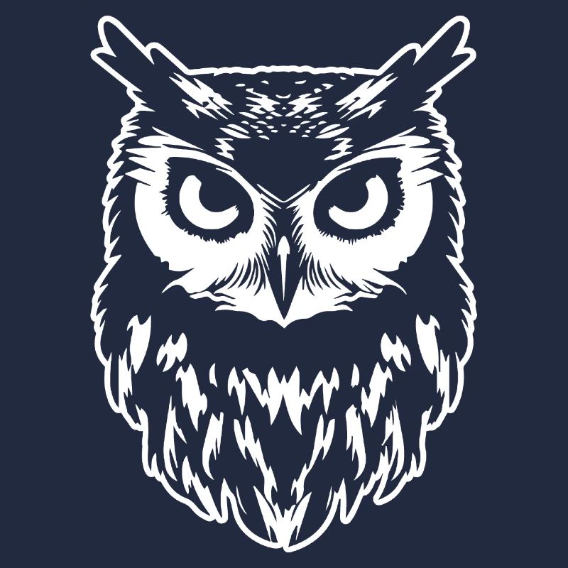 Eule Eulen Vogel Vögel