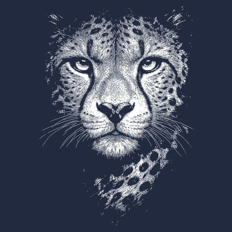 Guépard