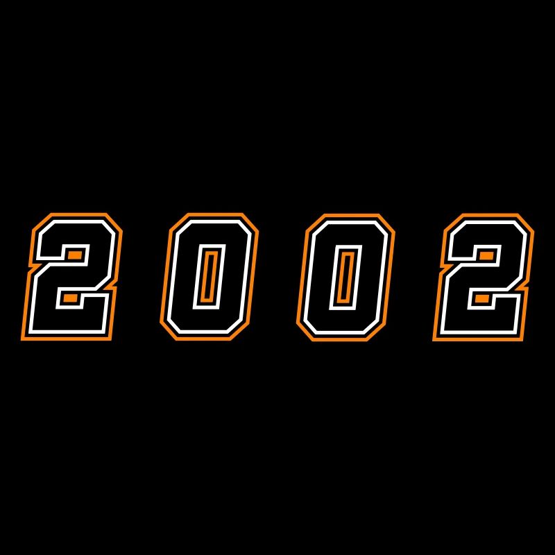 2002 Year Number