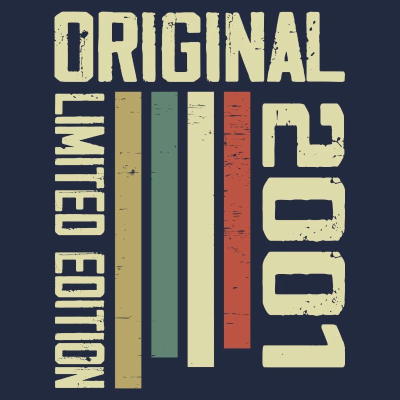 Retro 2001 23rd Anniversary Gift Vintage 1995