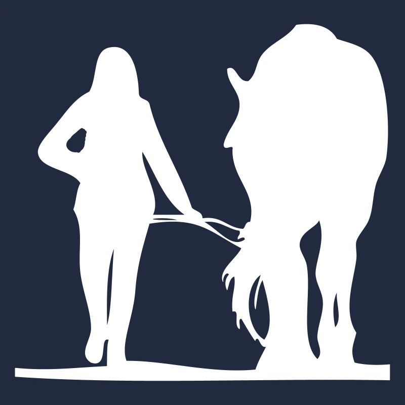 Conduite du cheval
