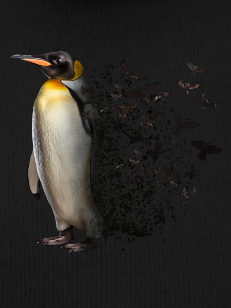 Penguin