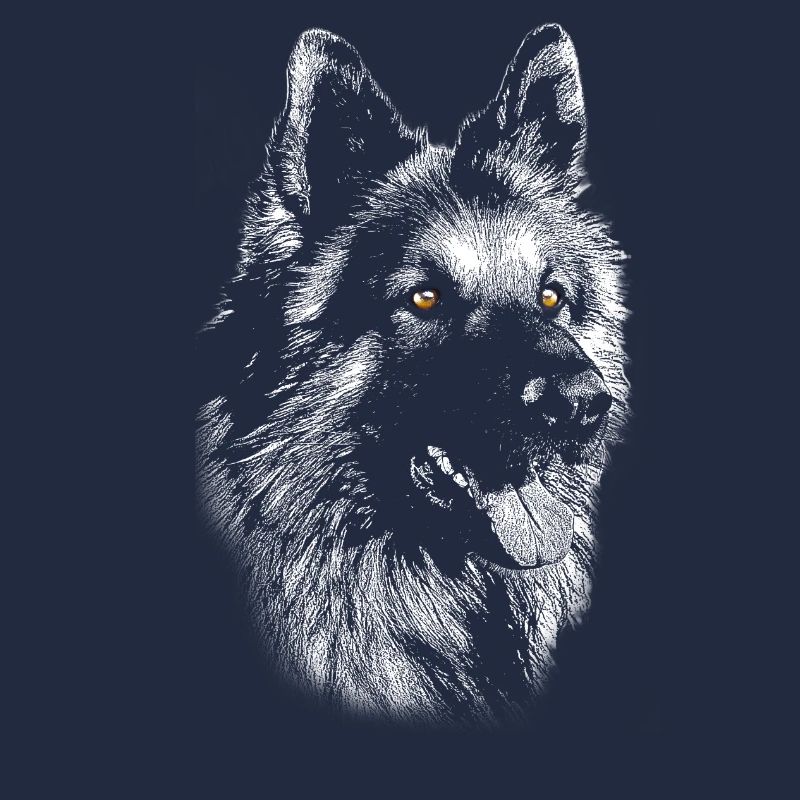 Schäferhund Portrait