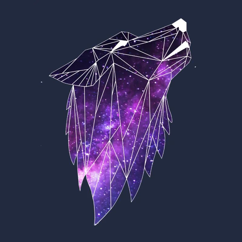 Géométrie Galaxiewolf
