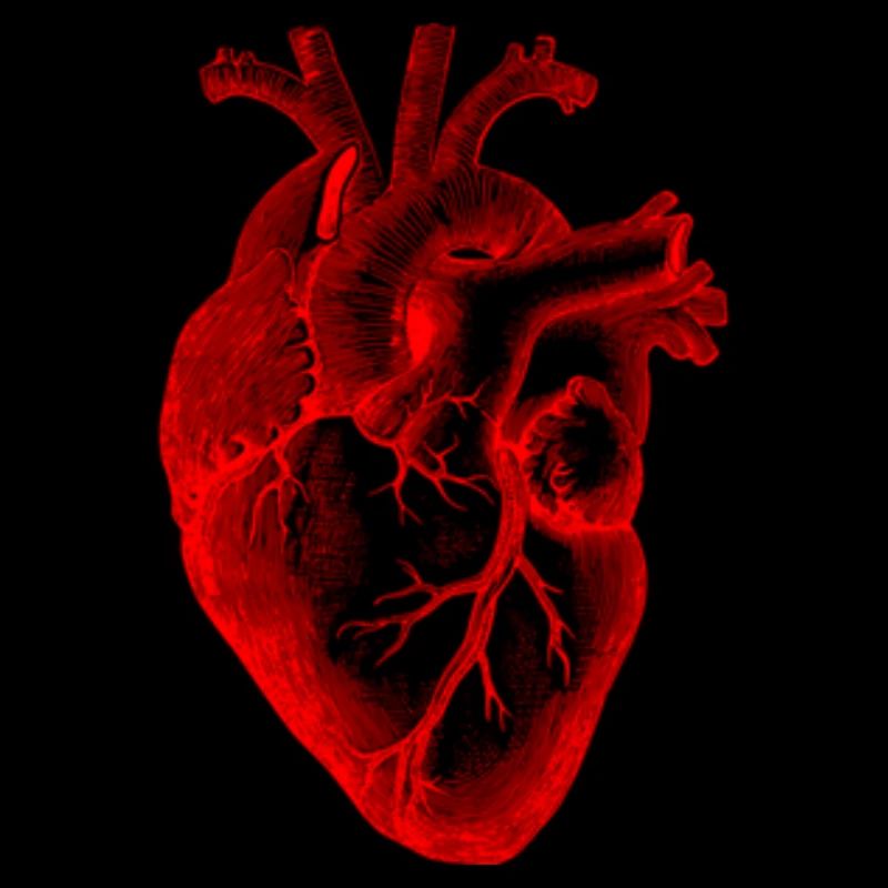 Cœur Design de mode