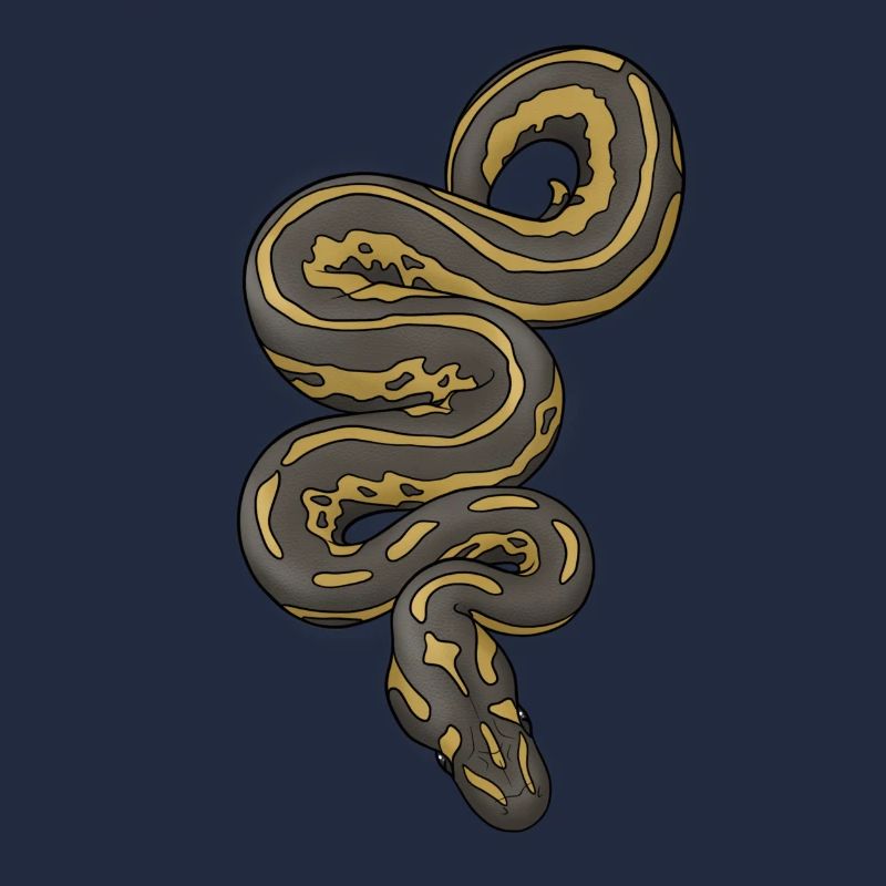 Python/Schlange