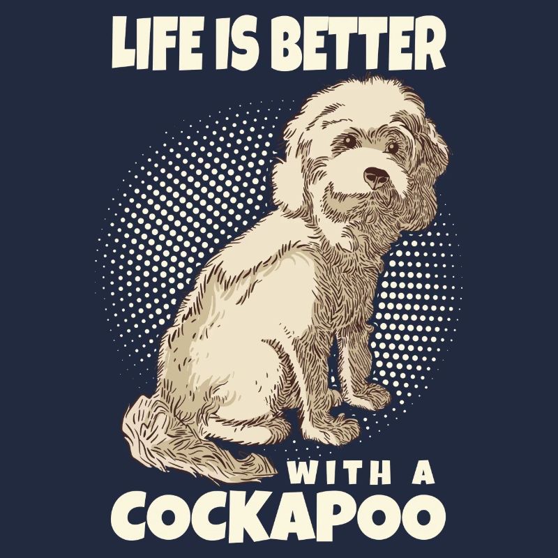 Cockapoo