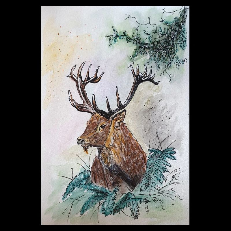 Hirsch Deer
