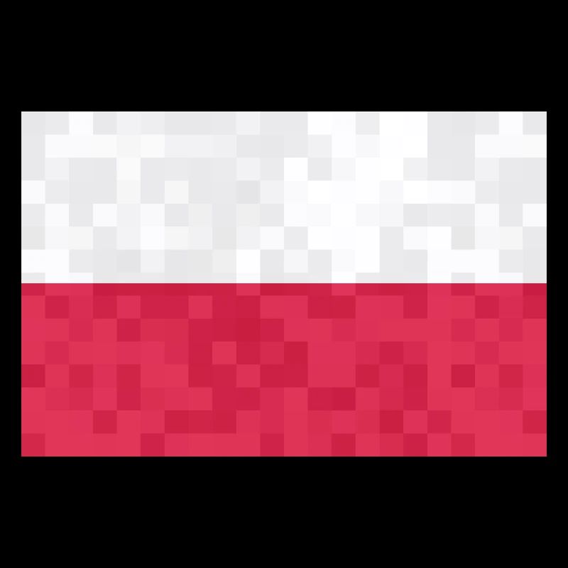Pologne Drapeau utilisé Look Polska Drapeau polonais