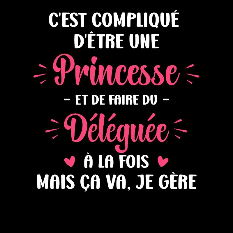 C est compliqué princesse et Déléguée