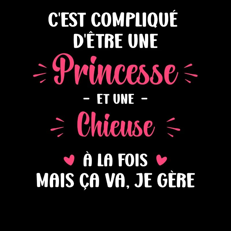 C est compliqué princesse et Chieuse