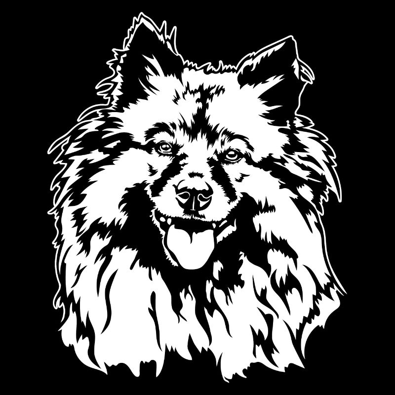 Wolfsspitz Keeshond Chien Portrait Chiens Wilsigns