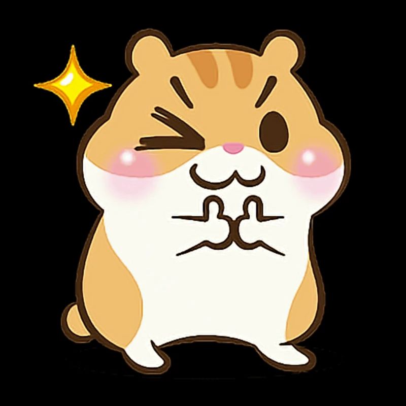 Geschenk Kinder Hamster