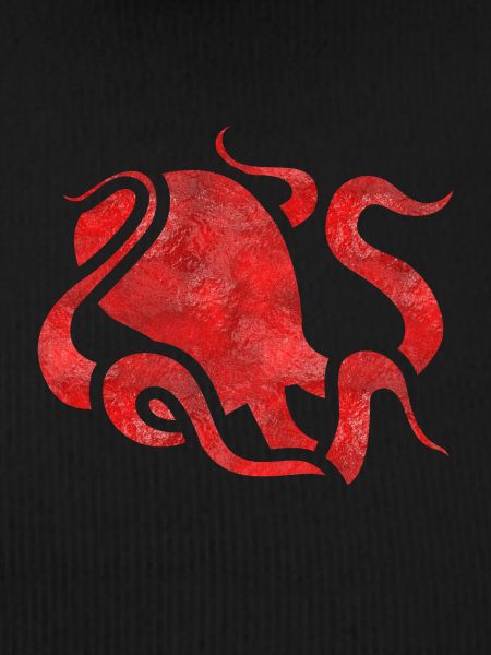 Tentacle squid octopus