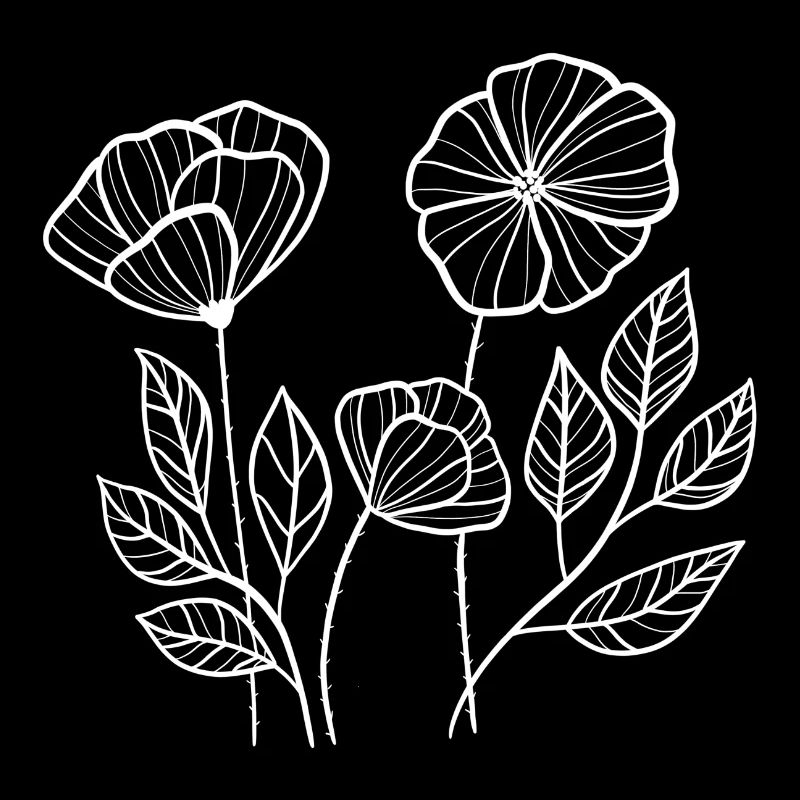 Coquelicots blancs