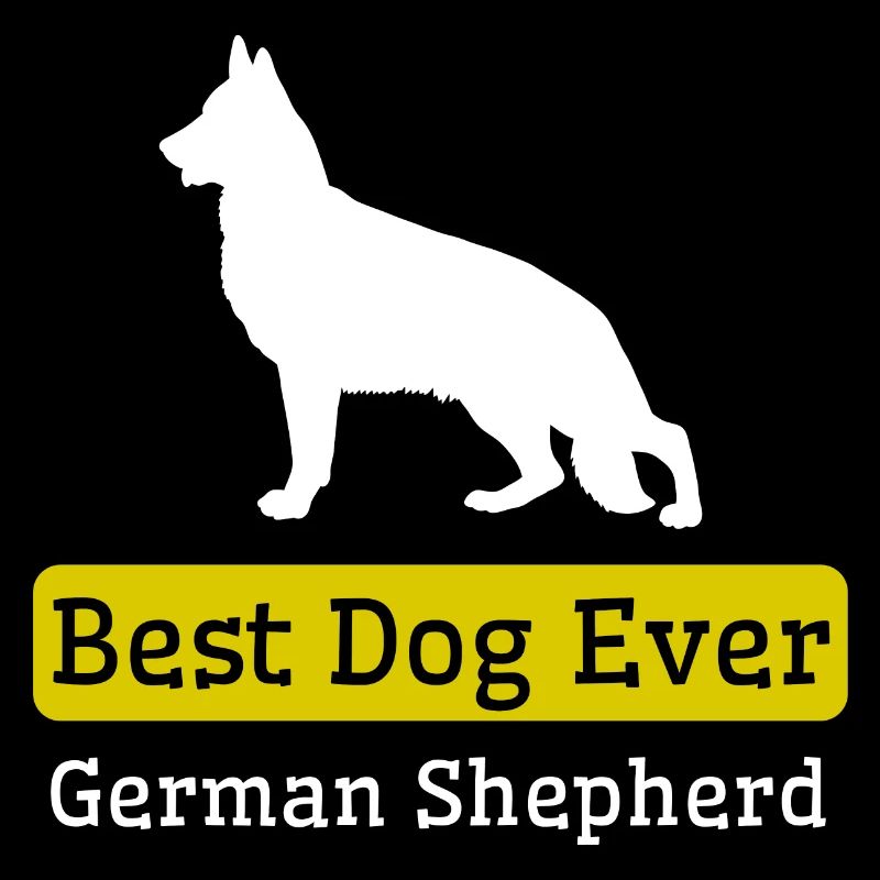 Bester Deutscher Schäferhund aller Zeiten