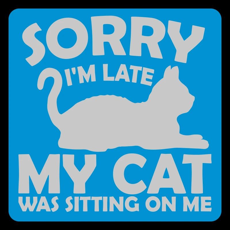 désolé chat était assis