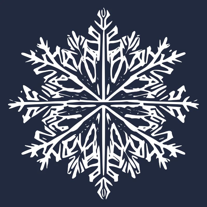 Snowflake Snow Winter Christmas Cold 7