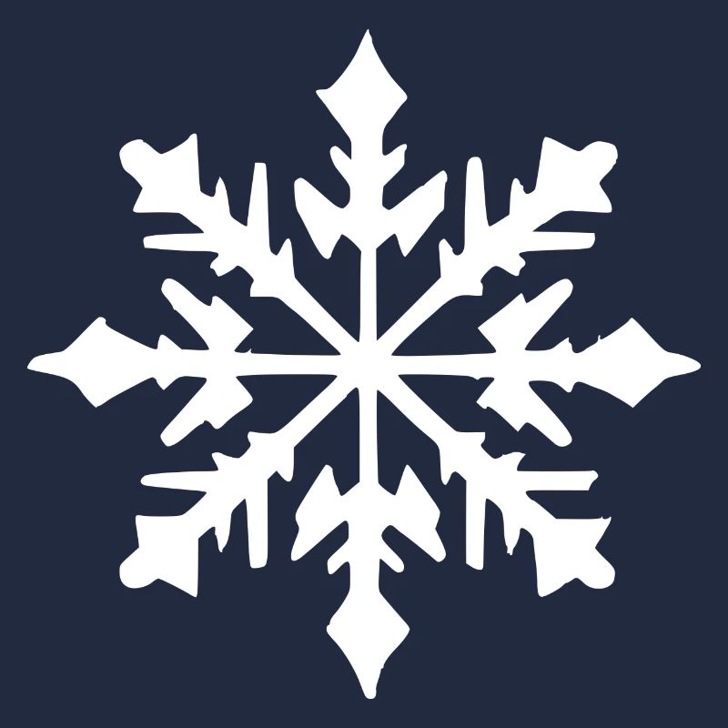 Snowflake Snow Winter Christmas Cold 9