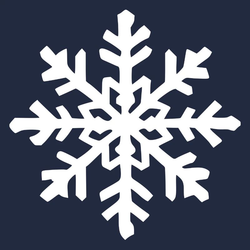 Snowflake Snow Winter Christmas Cold 5