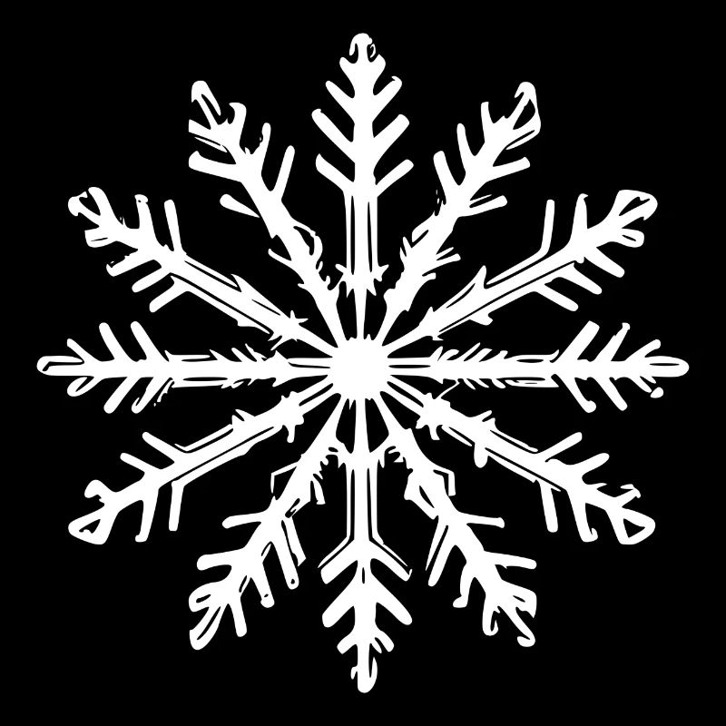 Snowflake Snow Winter Christmas Cold 12