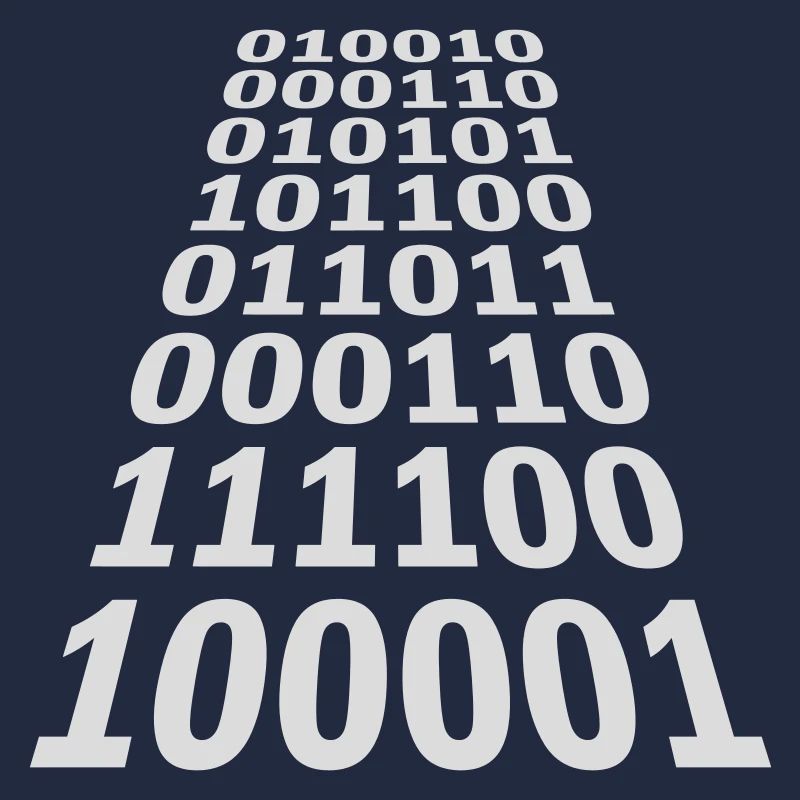 Langage de programme de code binaire