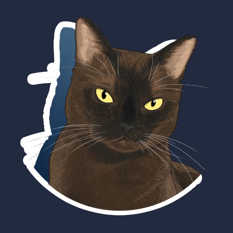 Chat burmese