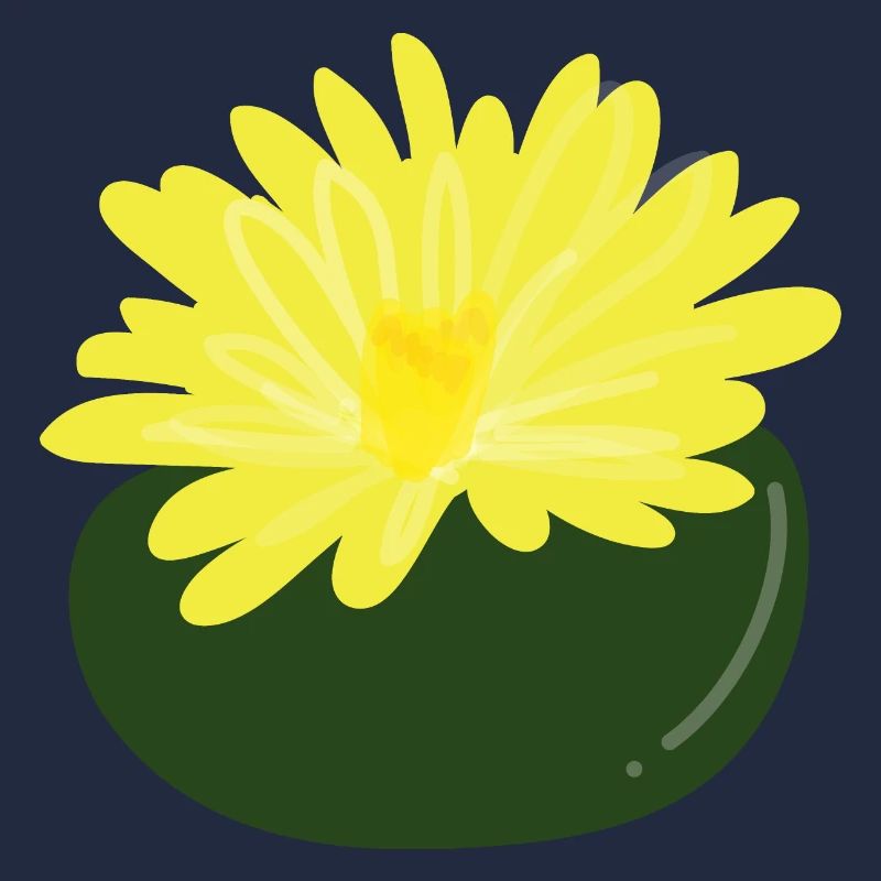 Fleur de Lithops1