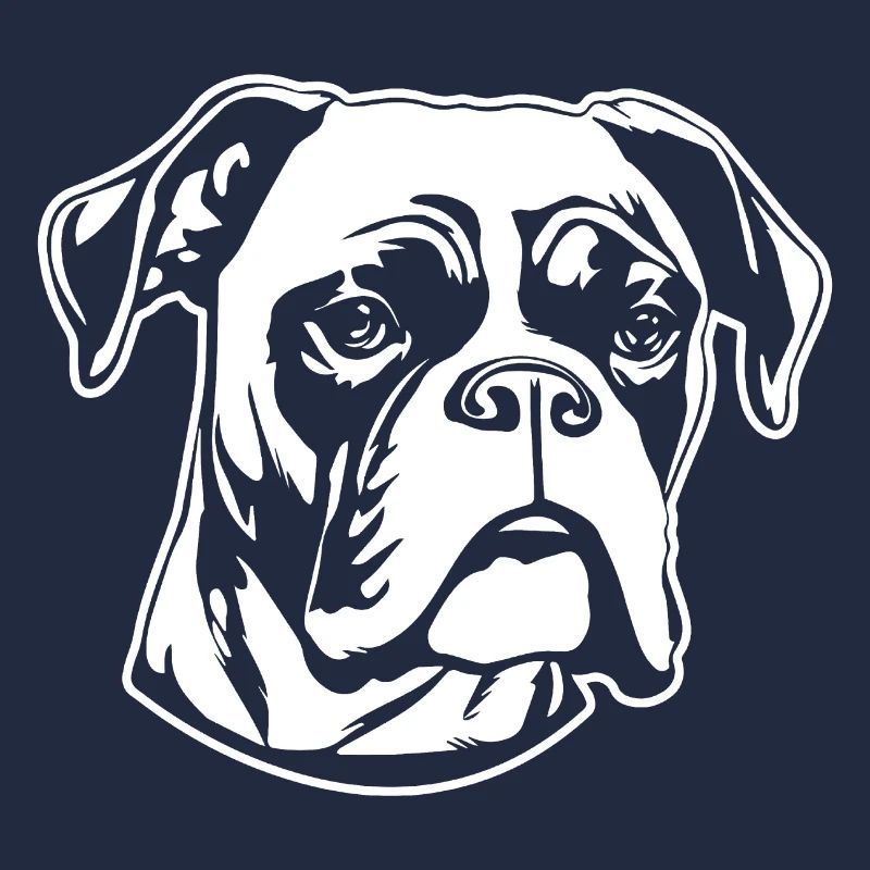 Boxer Hund Hunderasse